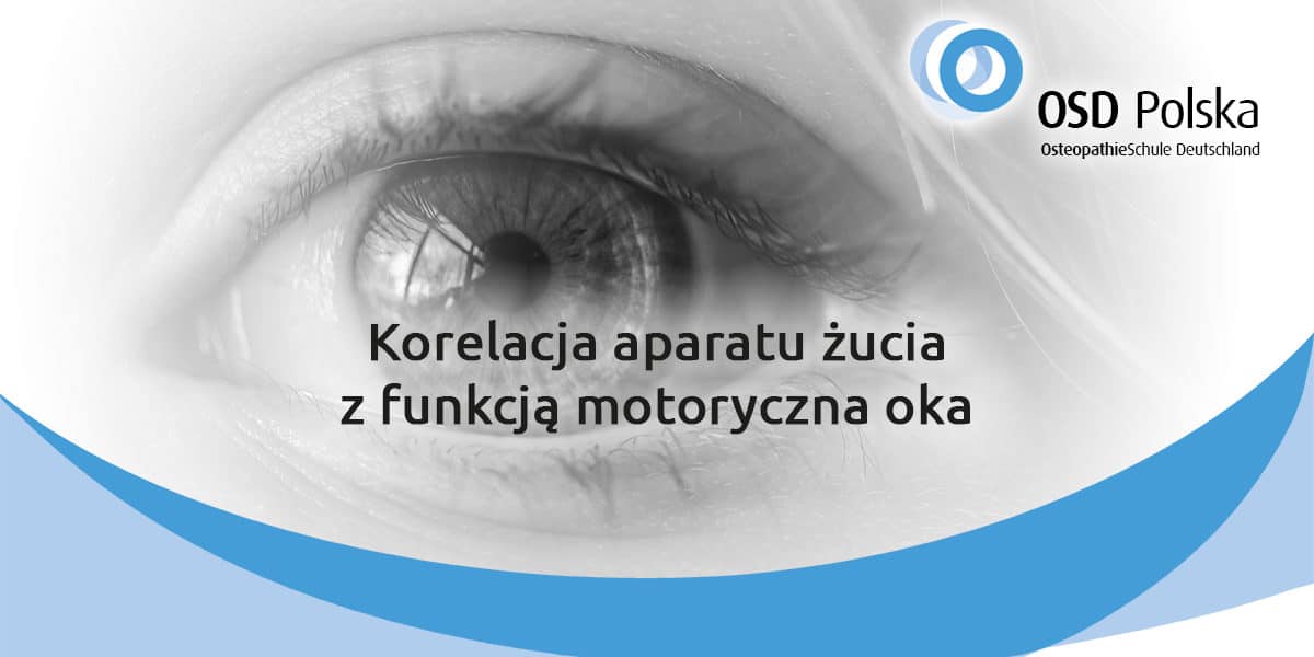 Korelacji aparatu żucia z funkcją motoryczną oka.